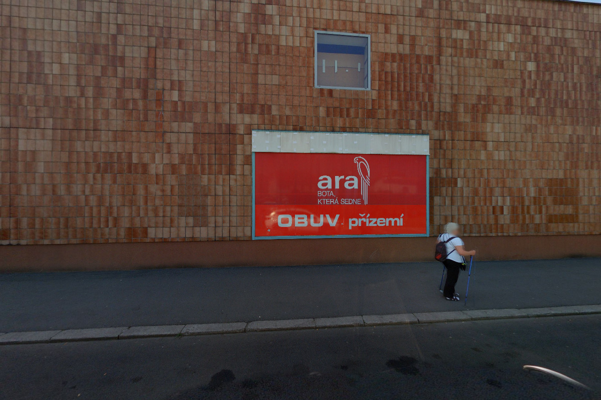 Drahomíra Dvořáková