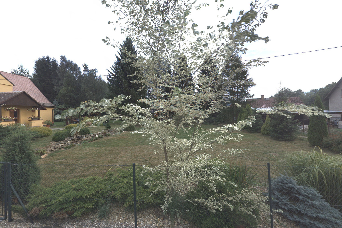 Chalupu u Lešků foto 3