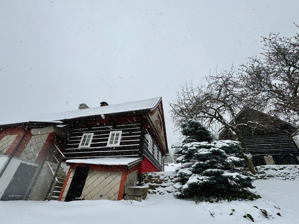 Roubenka Hnědá foto 2