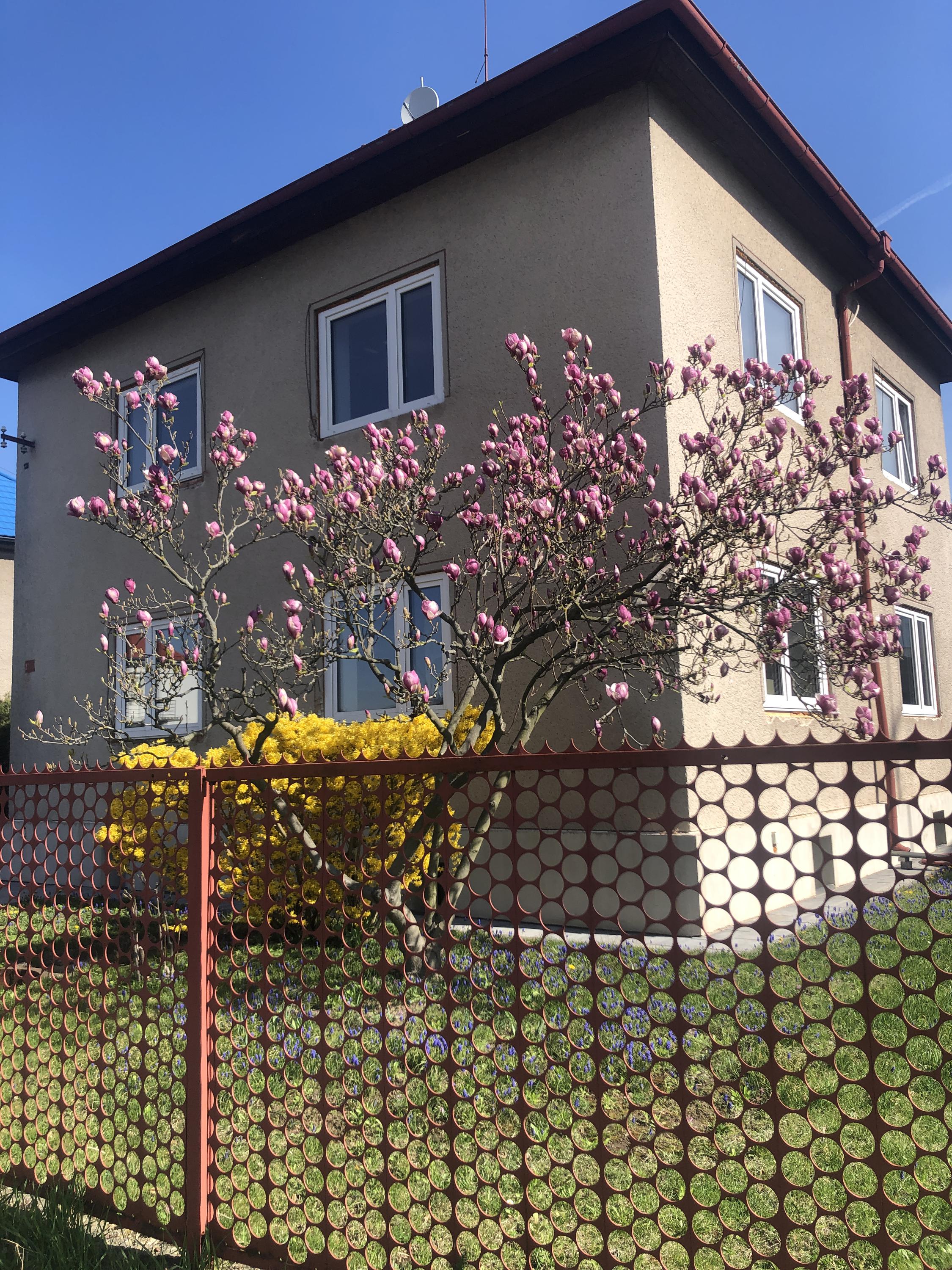 BIČELS SERVIS, s. r. o. foto 2