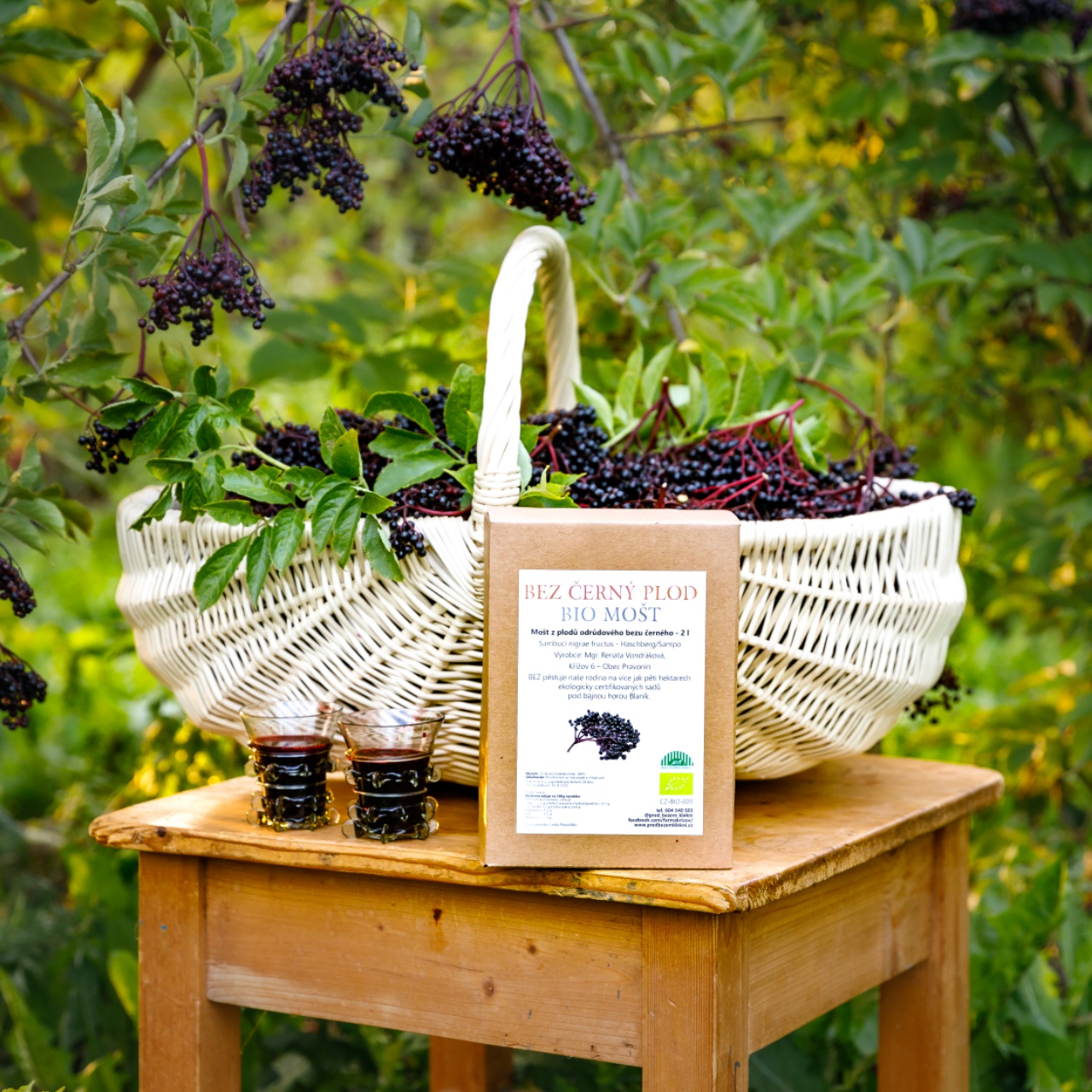 Bezová farma Křížov - Před bezem klekni foto 2