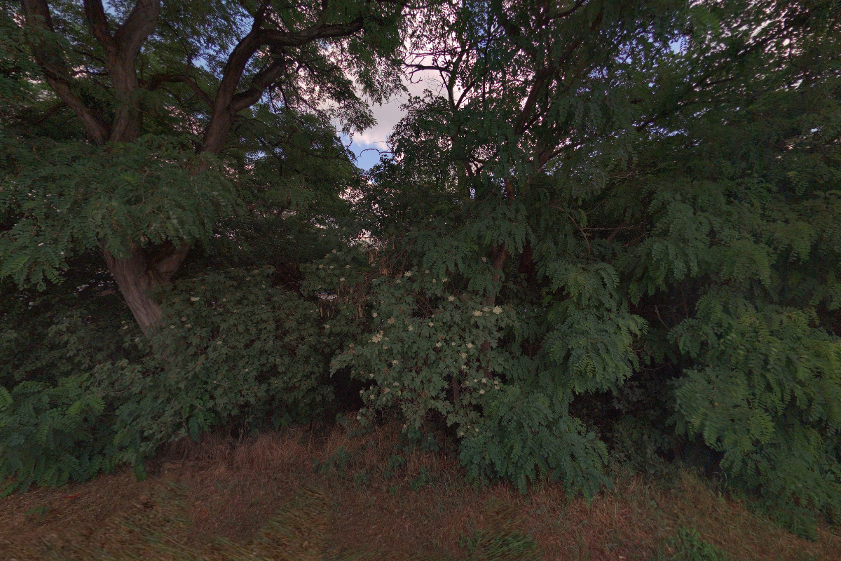 Sadská - sběrné místo