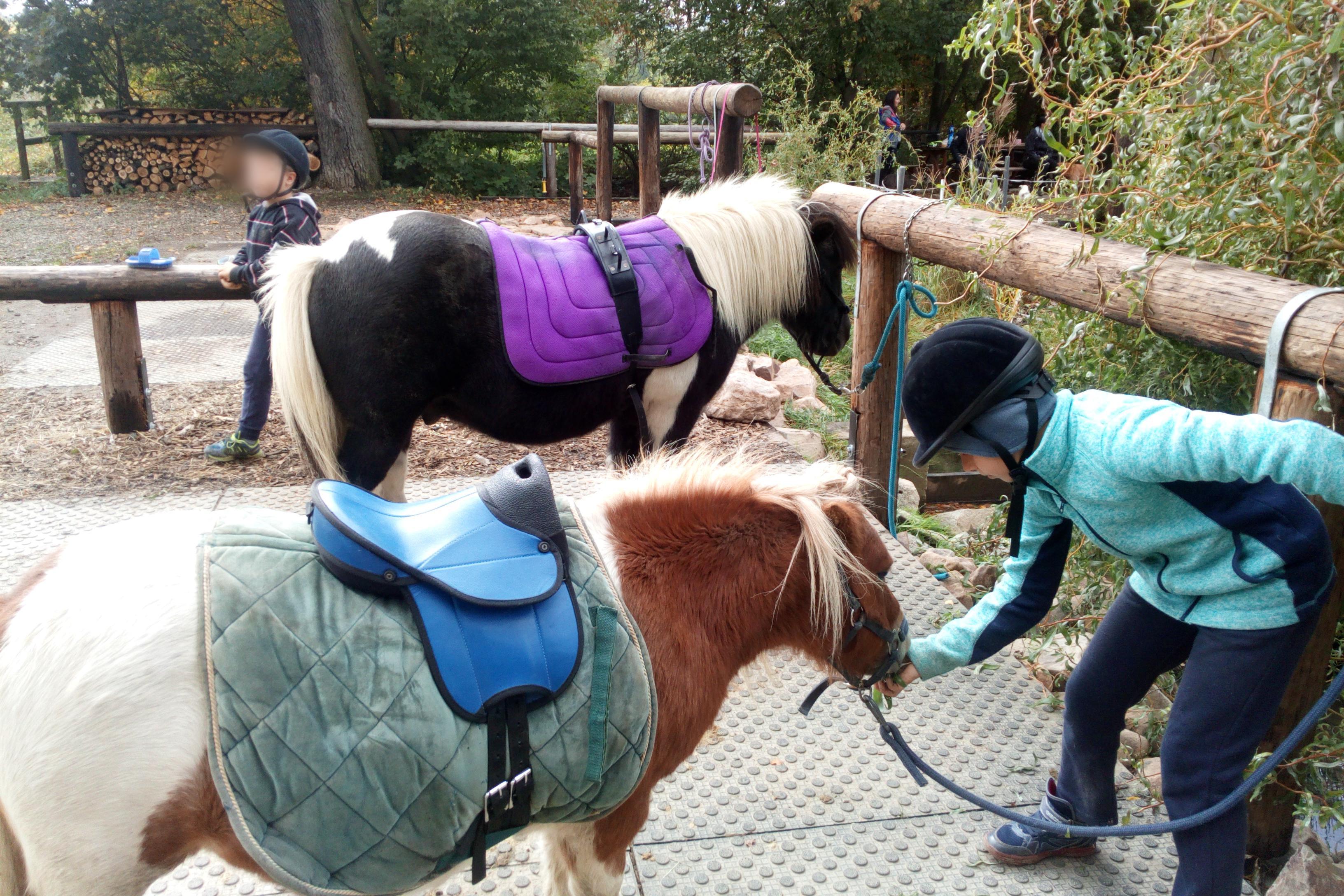 Jezdecký klub Mníšek pod Brdy