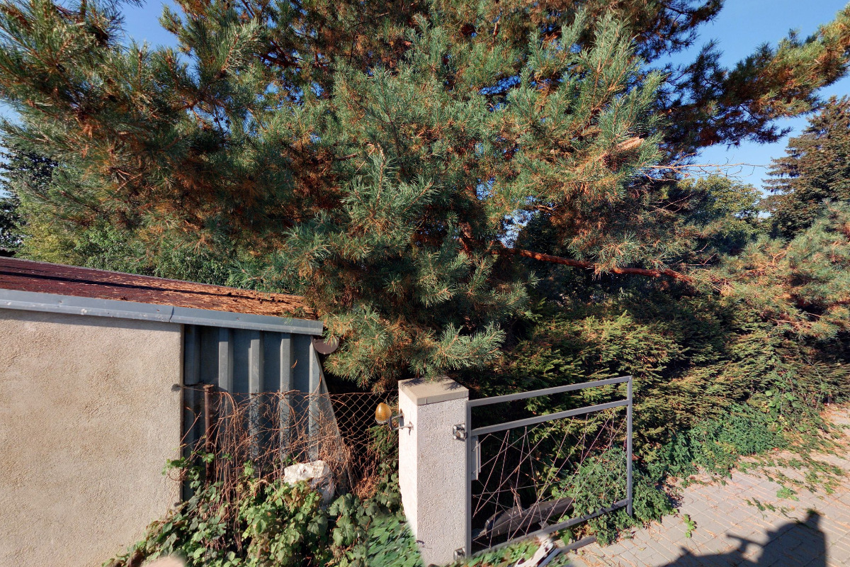 Taxi - Lukáš Berka