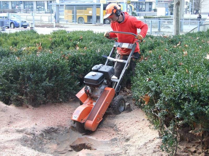 Rizikové kácení stromů - Arborista Pavel Kubík foto 2