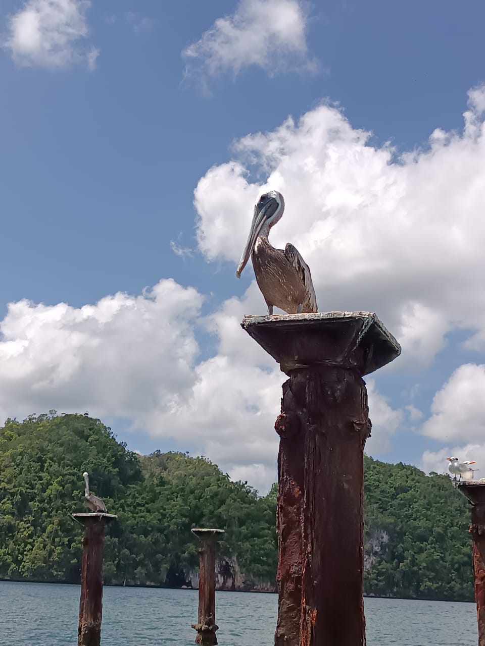 Chocolate Travel Dominikana foto 2