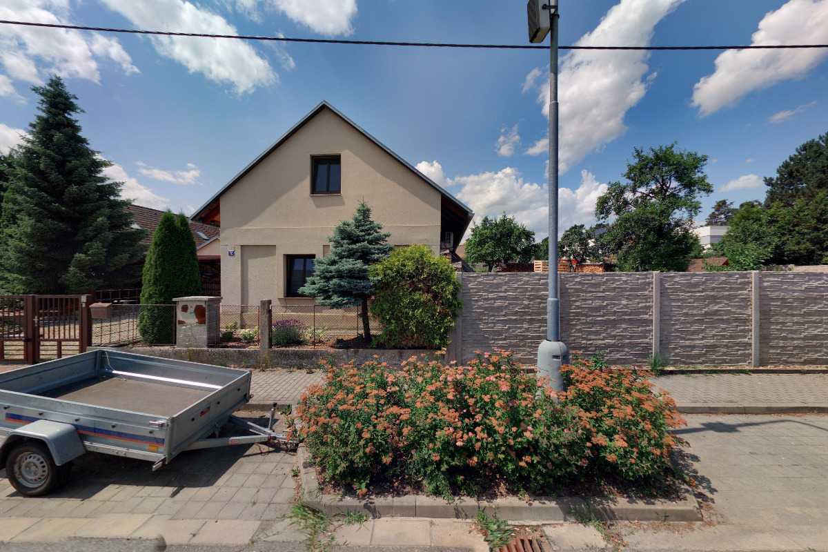 Těžba dřeva, rizikové kácení - Andrusiv foto 2