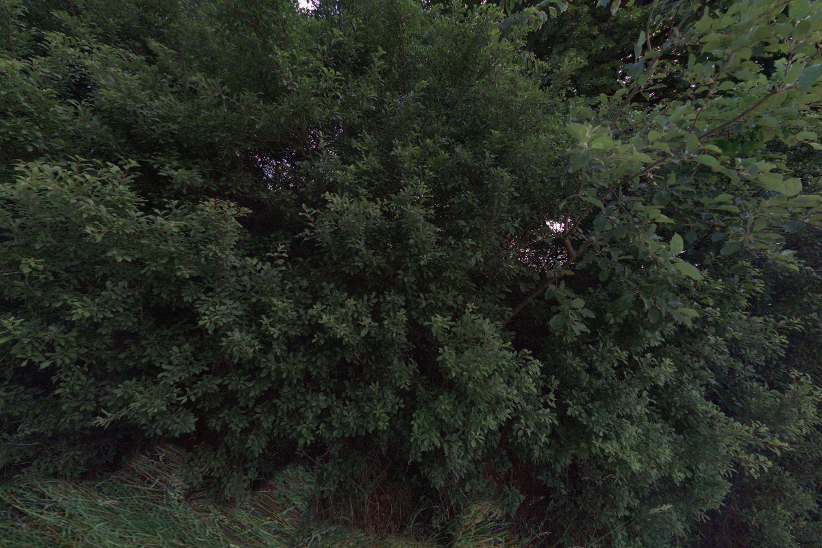 SOLITÉR Petr Stránský