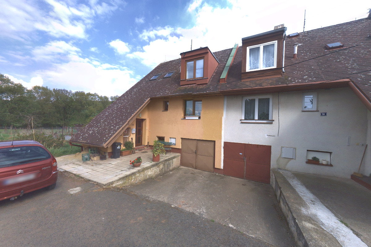 Dachshaus Daxhshund & Hortaya Borzaya