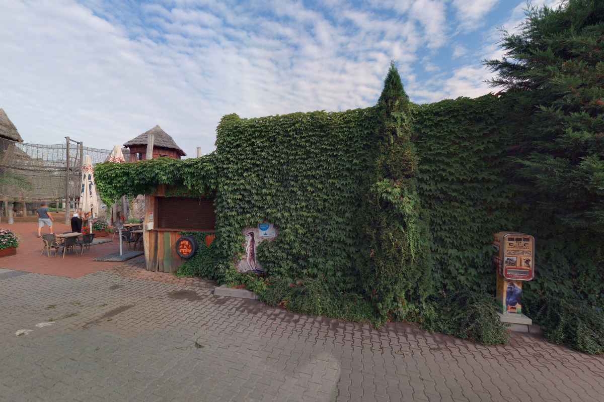 Ice & café KIBO foto 6