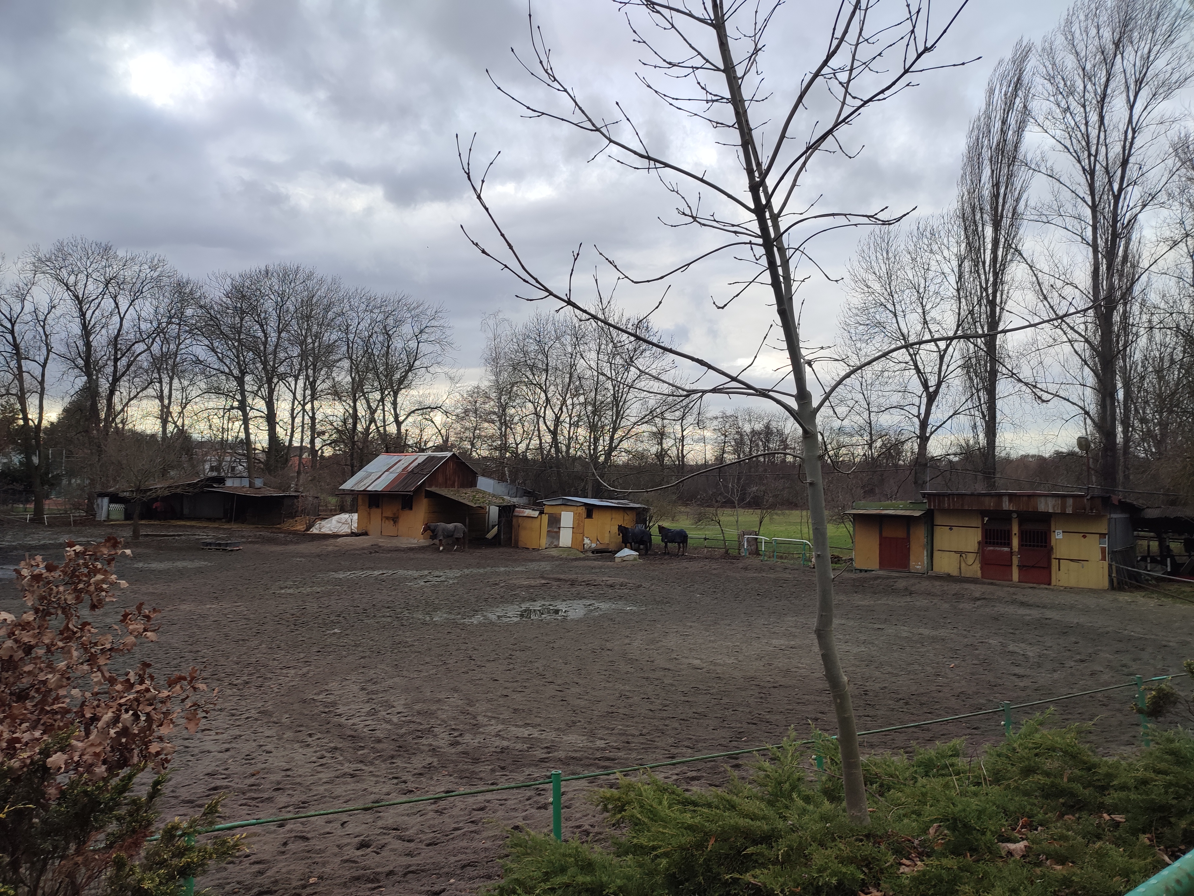 POČIN foto 2