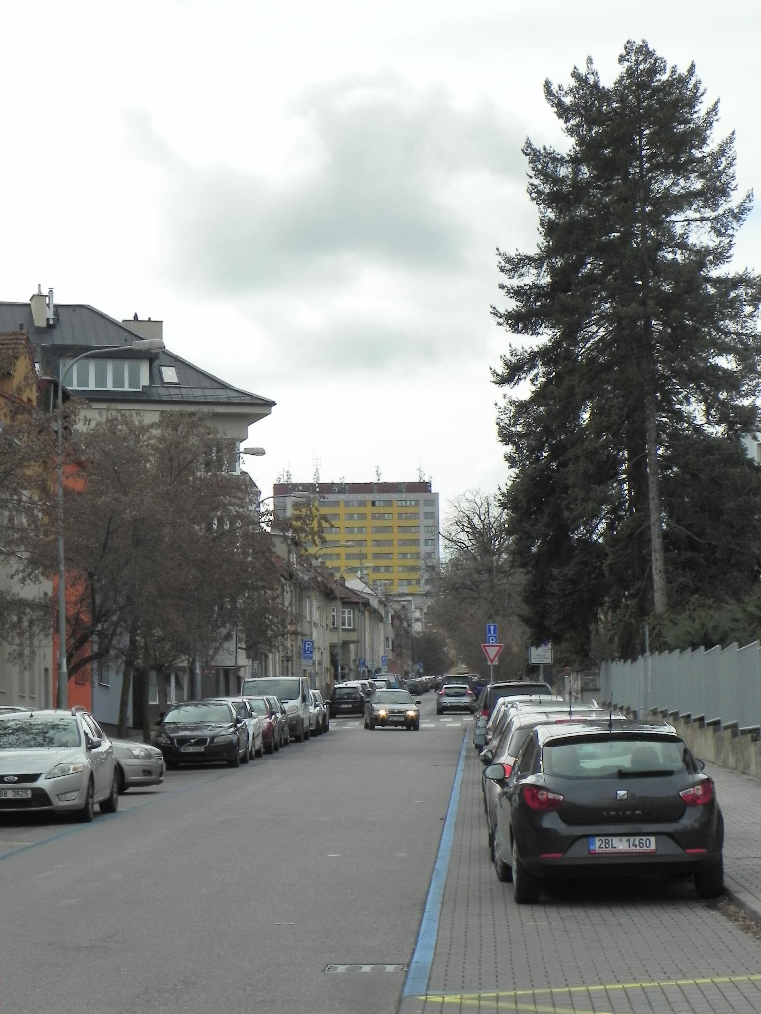 Vysoké učení technické v Brně - Purkyňovy koleje foto 5