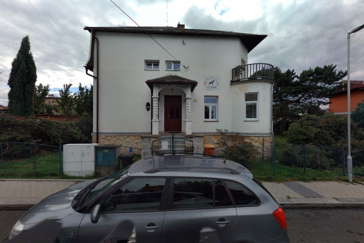 DogGuru Fyzioterapie Pro Psy