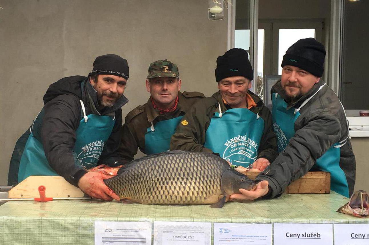 Radomil Macek - Vánoční kapři i další ryby