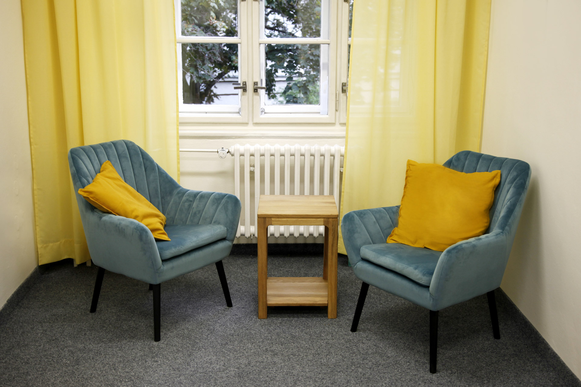 Mgr. Jana Smolka - Comitans foto 2