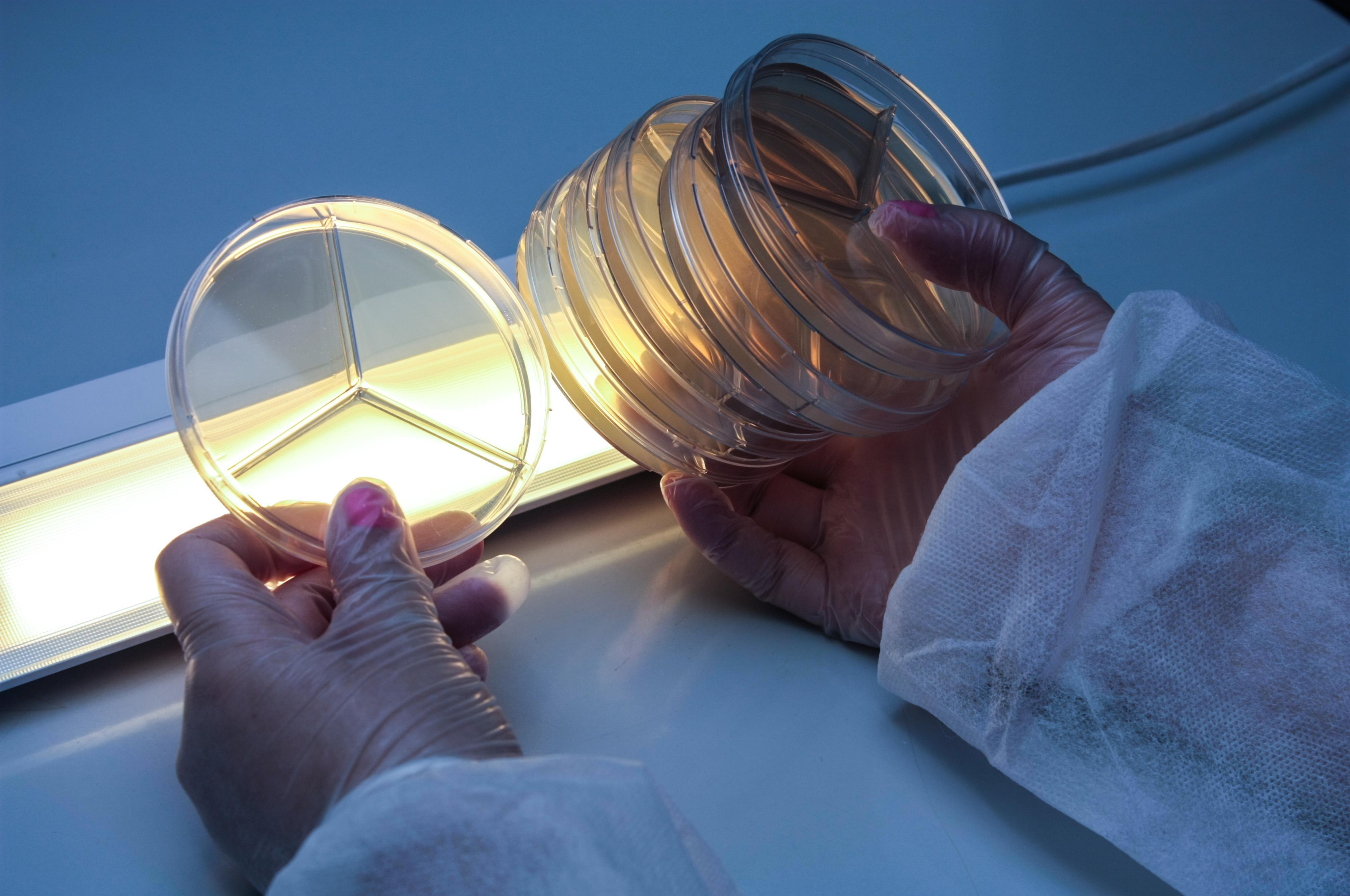 LabMediaServis, s.r.o.