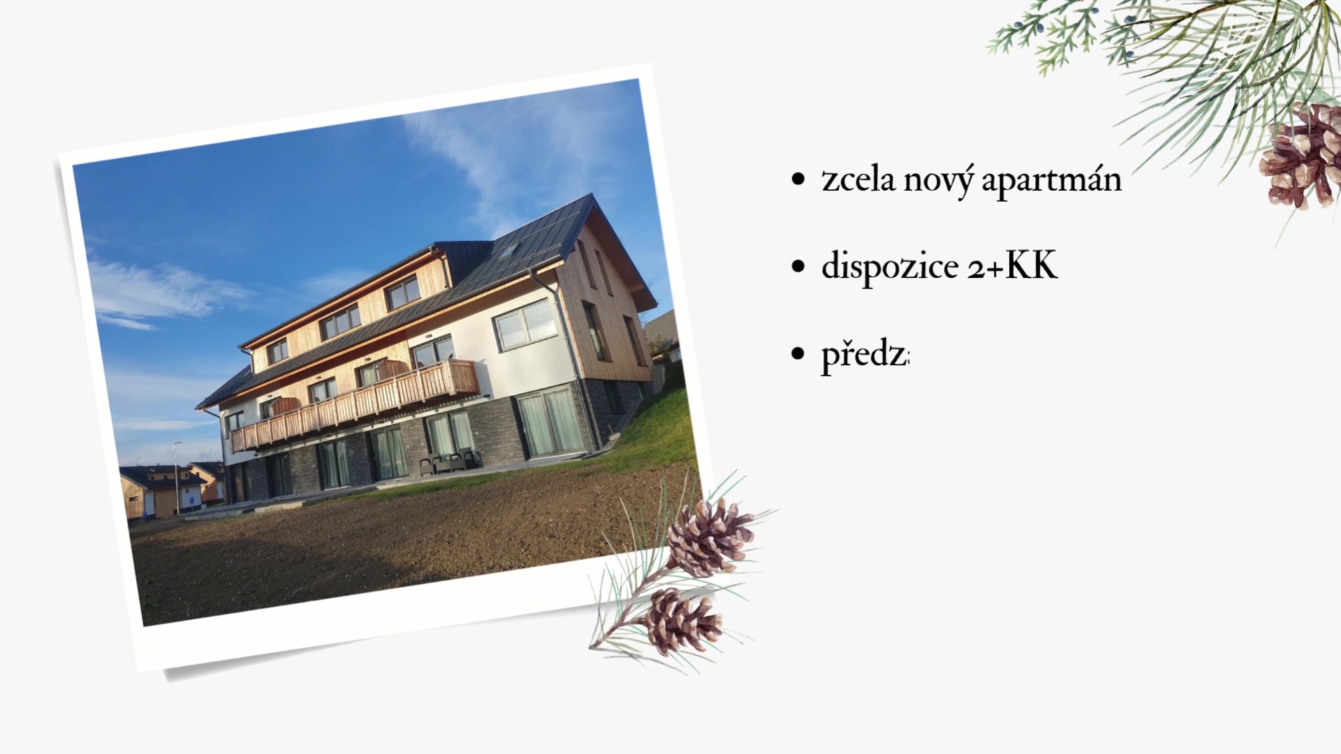 Apartmán Moje Malé Lipno foto 2 (náhled videa)