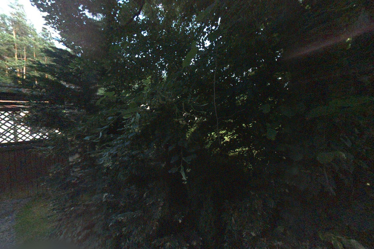 Zuzana Hardy - výuka angličtiny