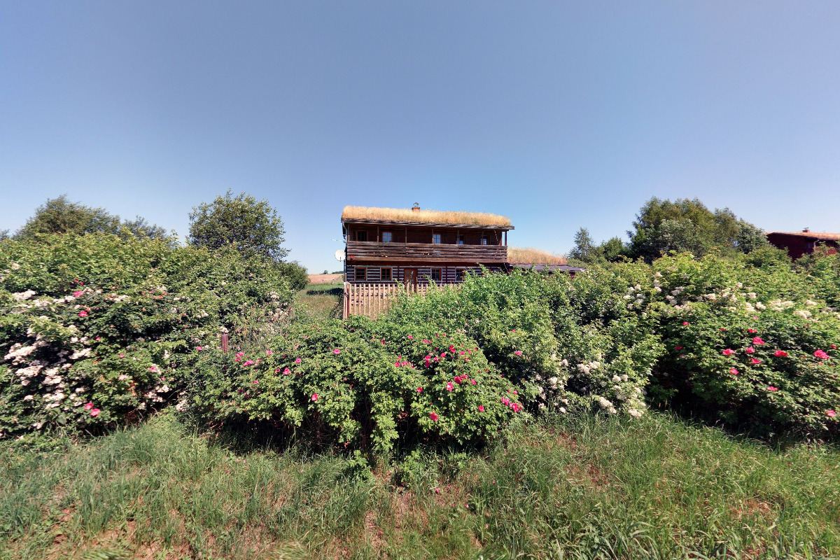 Bc. Markéta Dolejší