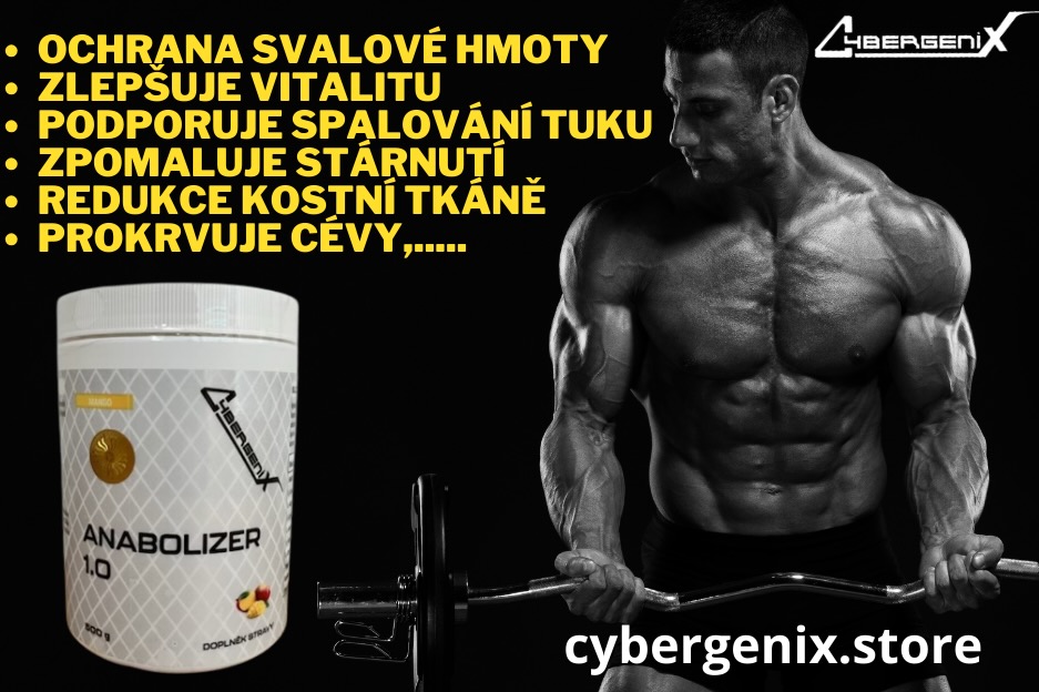 Cybergenix.store foto 4