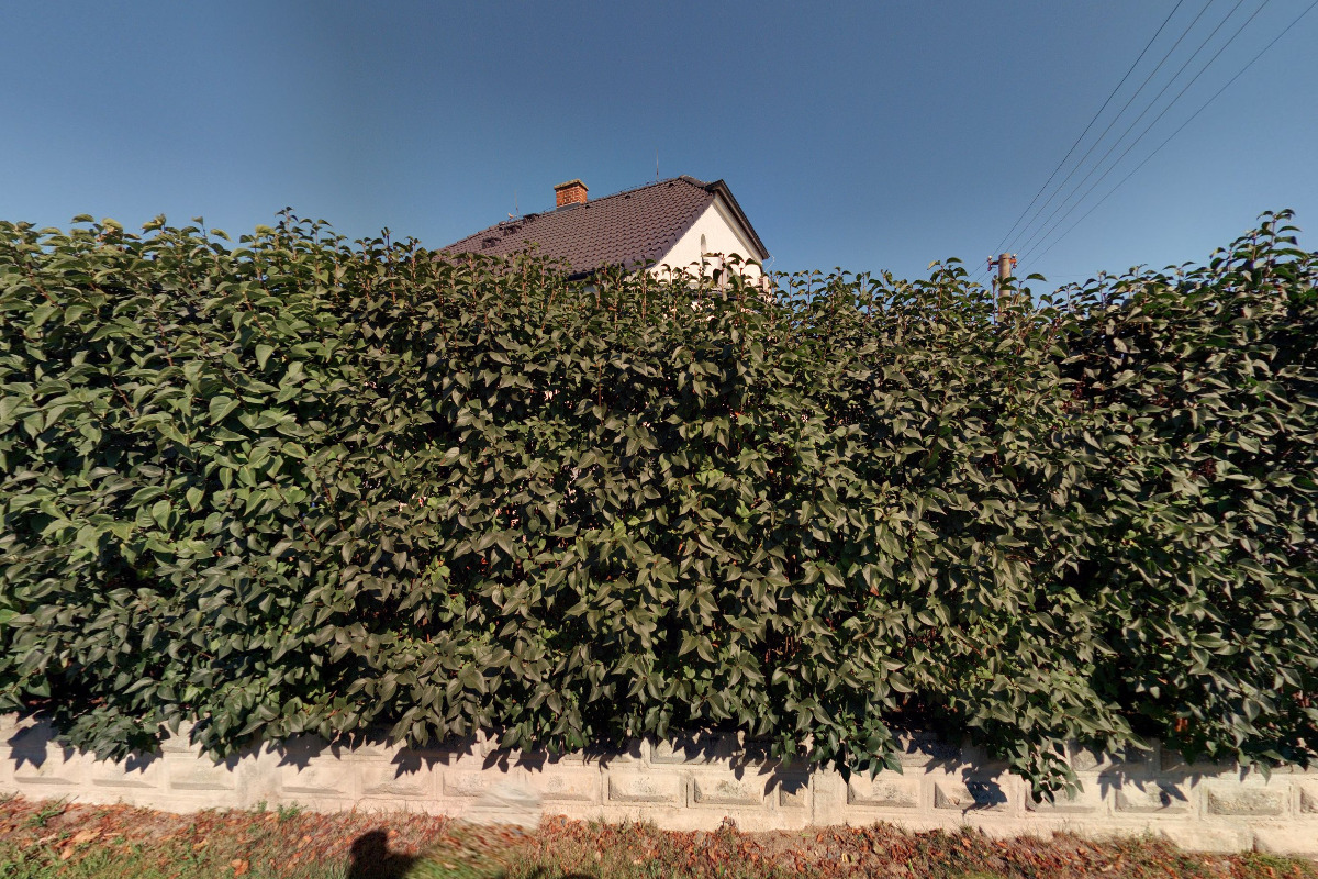 Kosmetické studio Salix foto 4