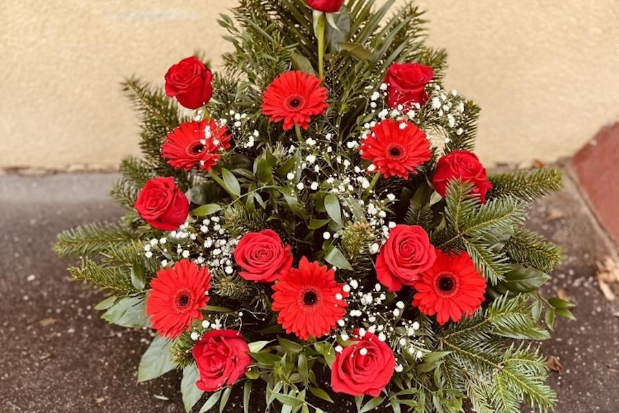 Žardina | Červená