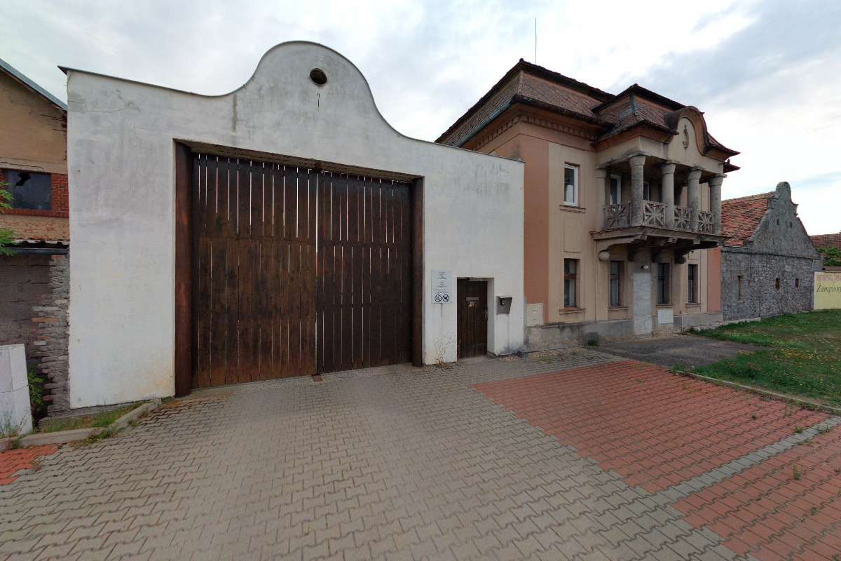 Jedlé houby - Jiří Václavík