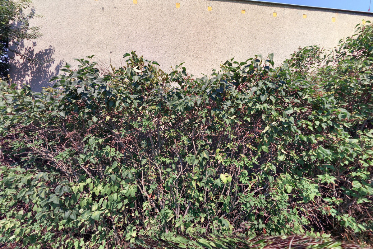 Vztahová Pohotovost Martin Vít