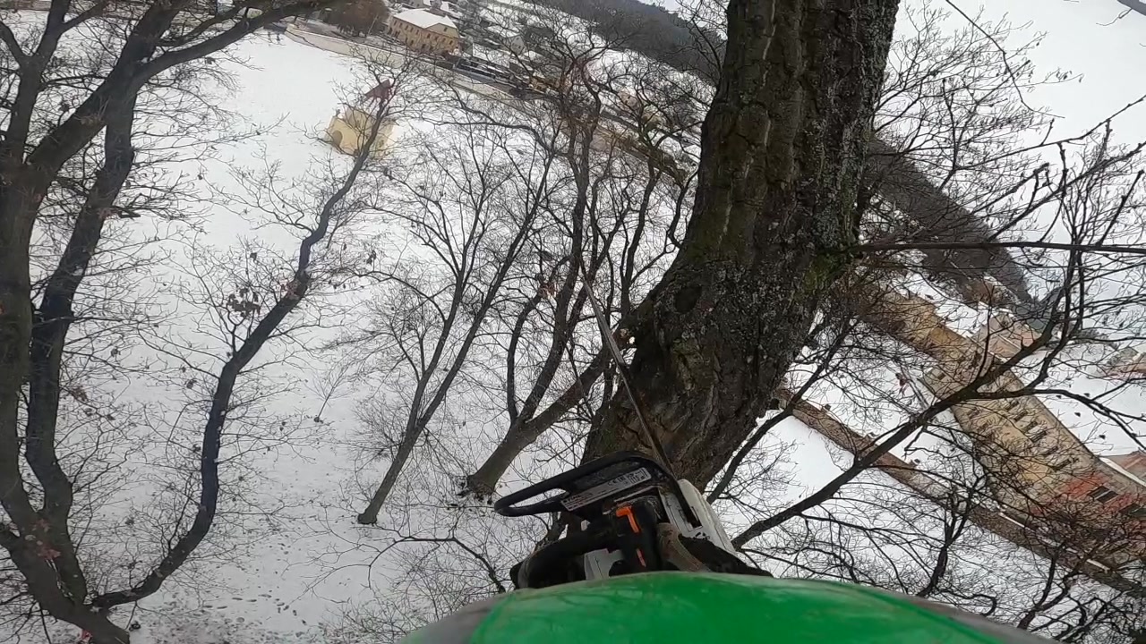 Rizikové kácení - Michal Ženíšek foto 2 (náhled videa)