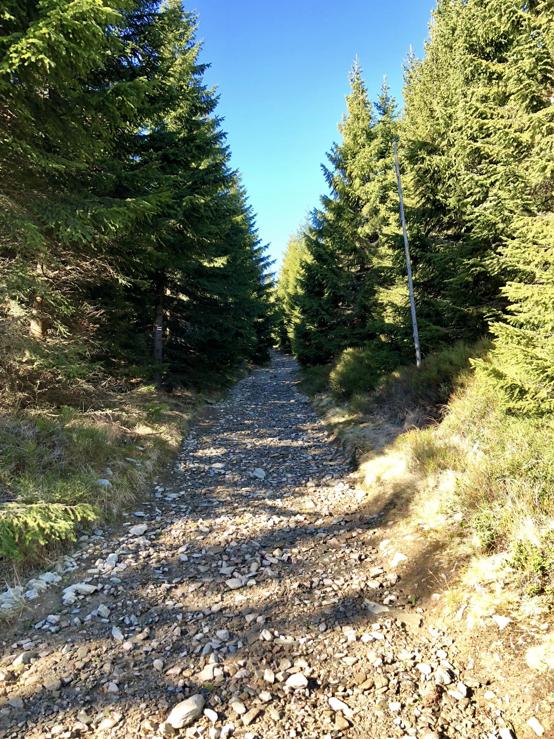 Pension Zámeček foto 5