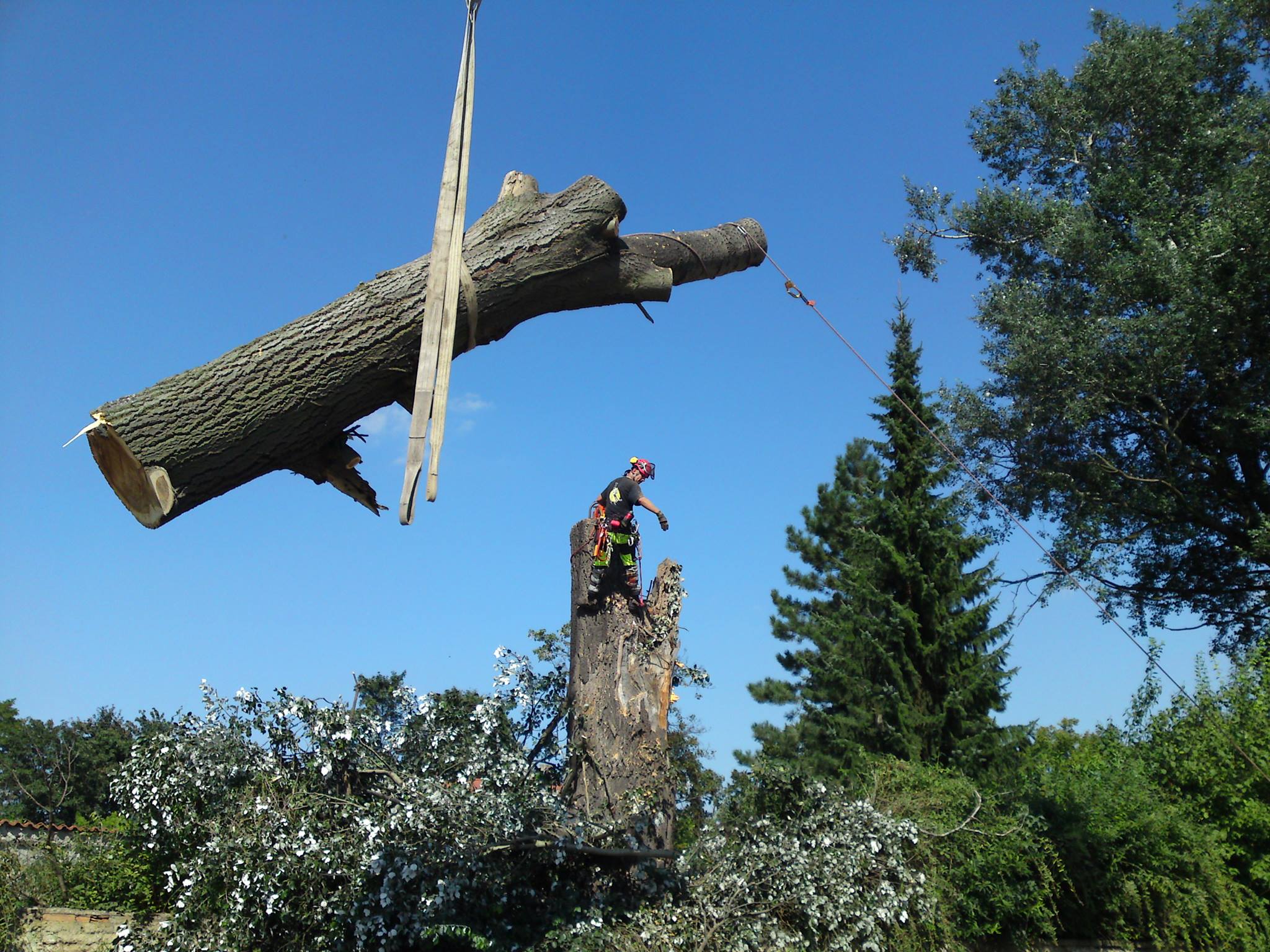 Ondřej Záhora - Arboristická činnost foto 3
