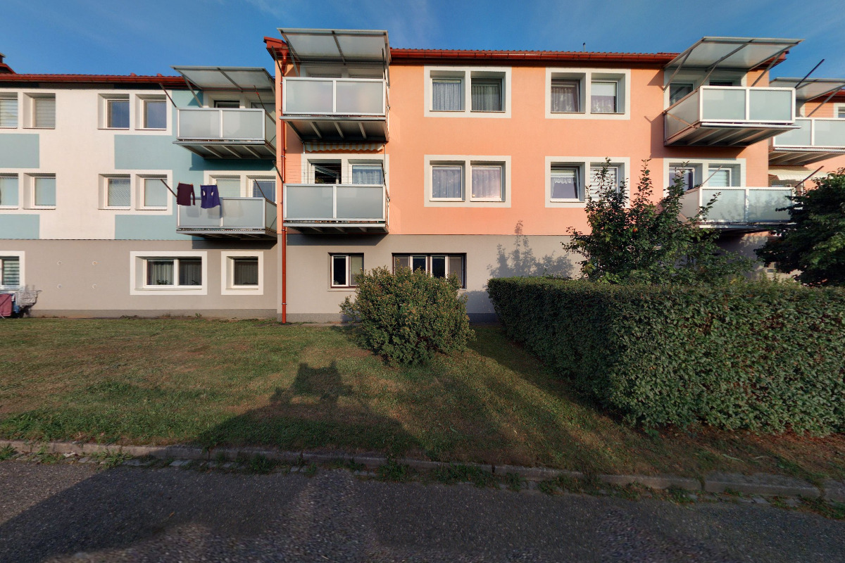 Appaloosa Horse Ranch