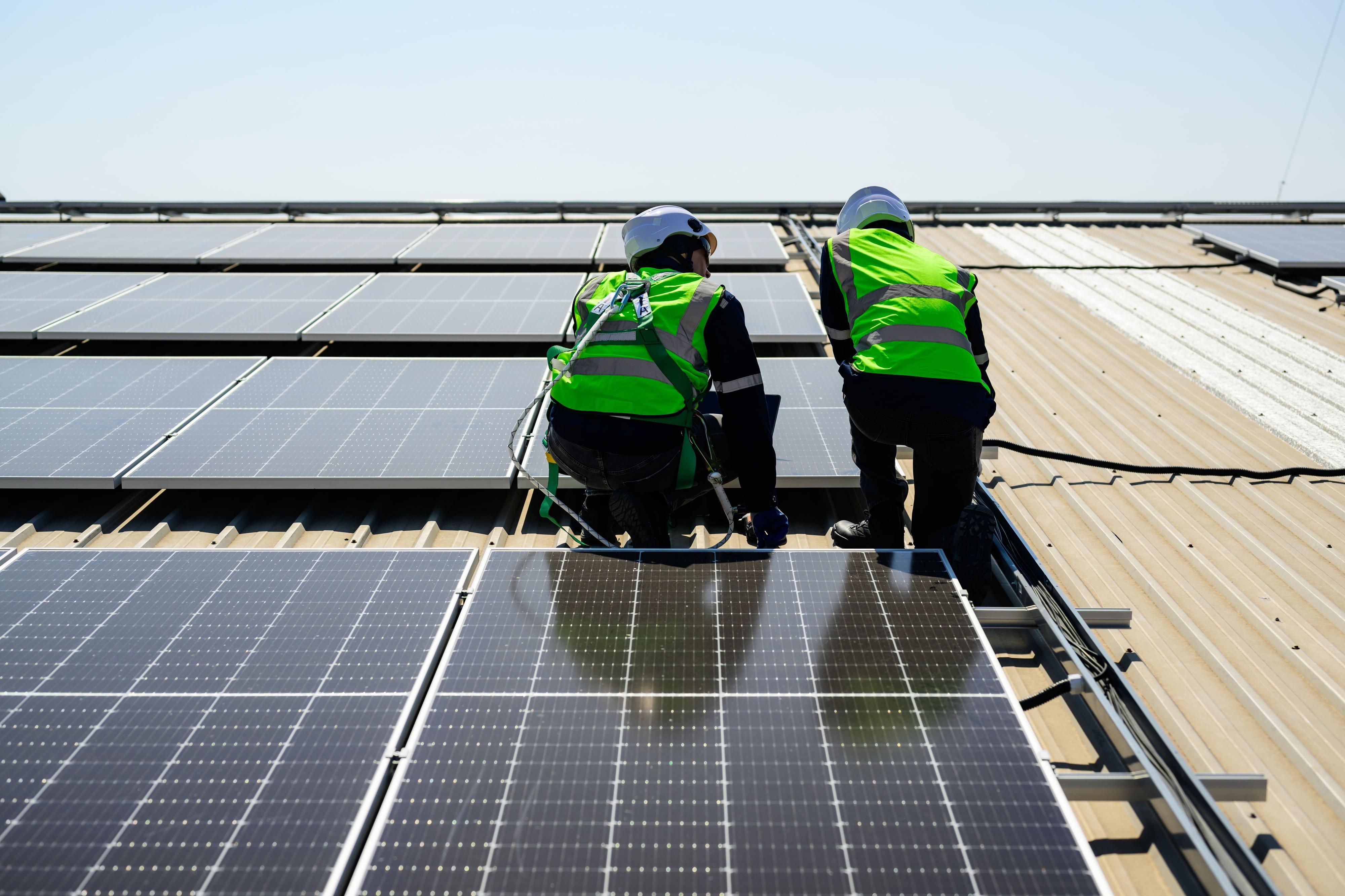 Greenbyte s.r.o. foto 5
