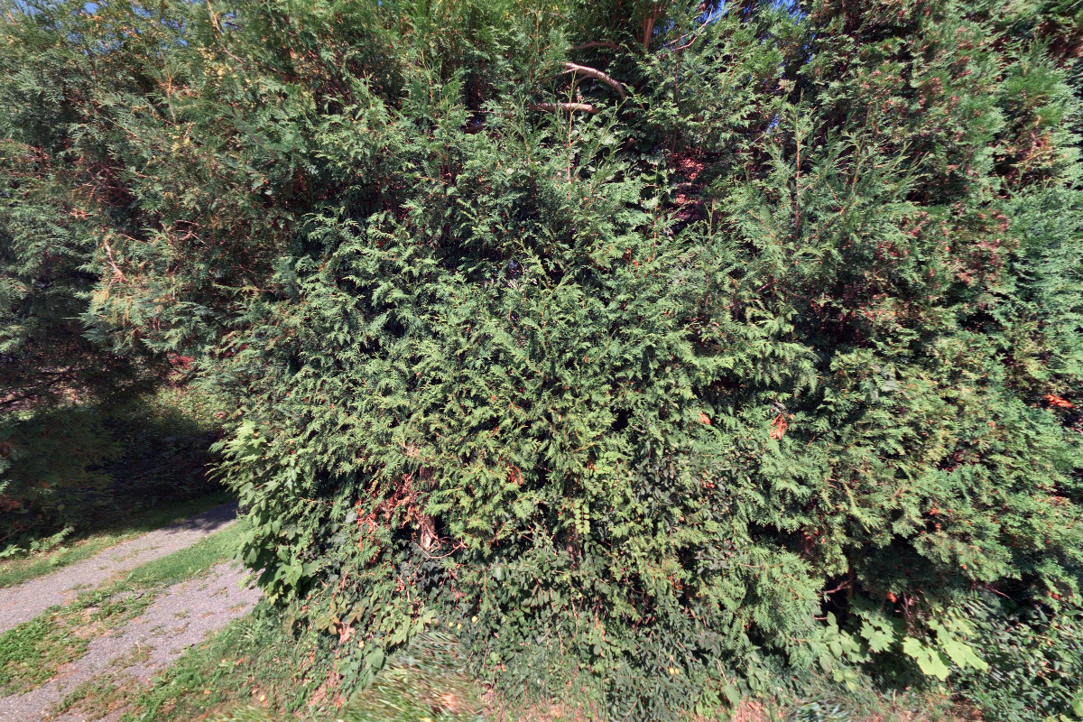 JUDr. Igor Krajčík, advokát