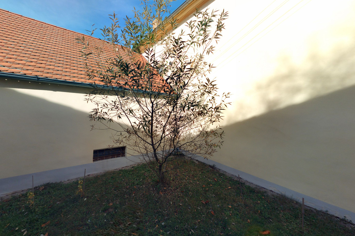 Římskokatolická farnost Myslív foto 1