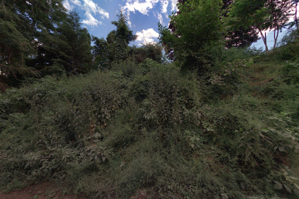 Yveta Novotná - Účetnictví foto 2