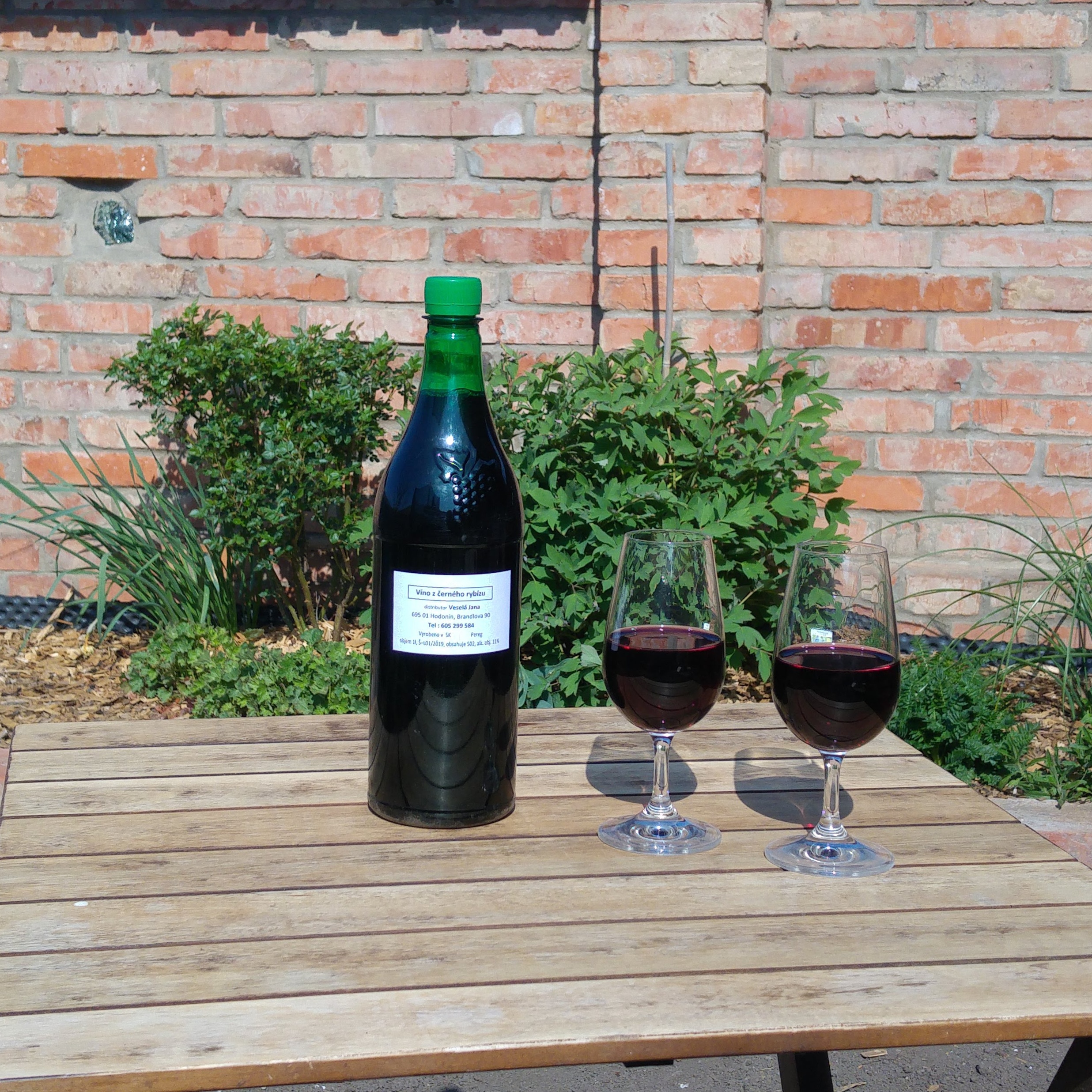 Rybízové víno - Veselá Jana foto 4