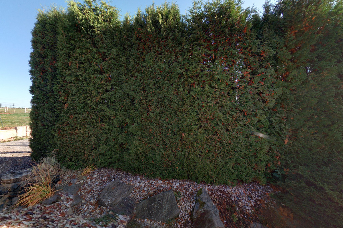 Michal Šimůnek -  mechanizované zemní práce