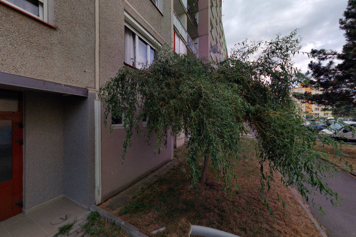 Česká grafologická unie foto 2