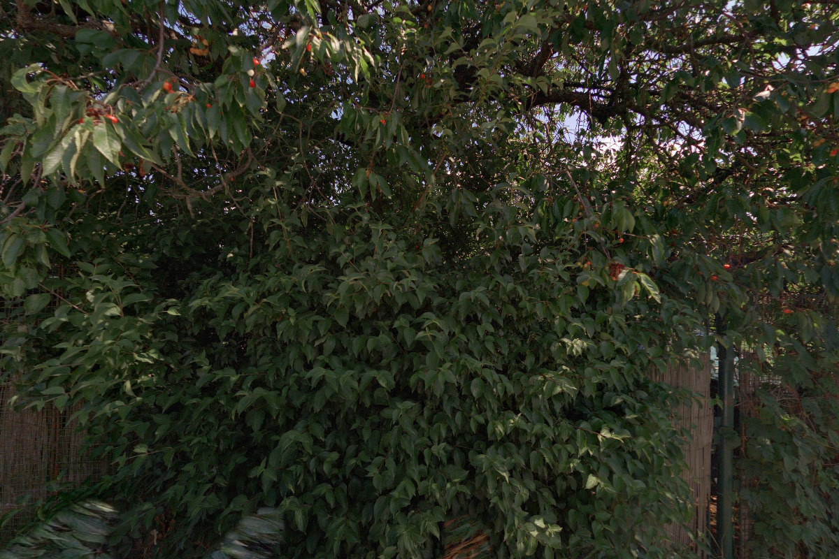 MUDr. Judita Hofhanzlová