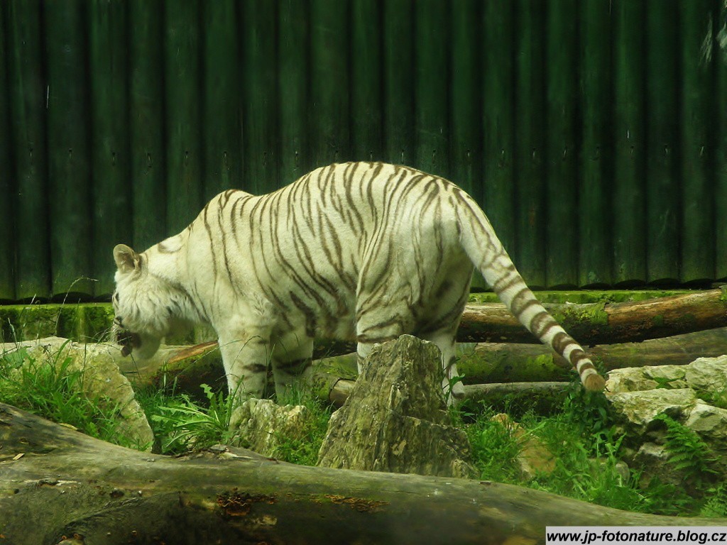 Zoo Liberec foto 4