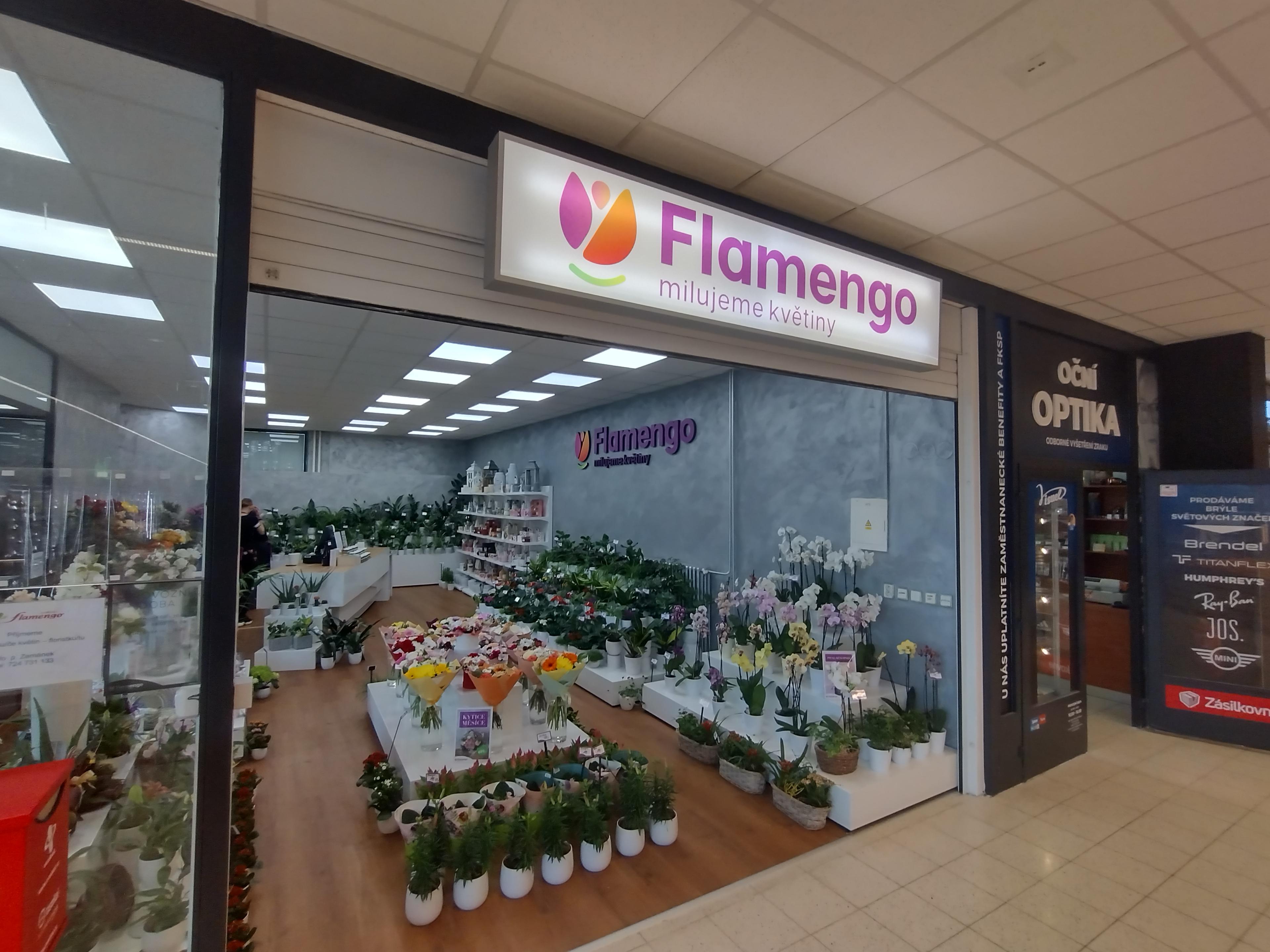 Flamengo květiny foto 1