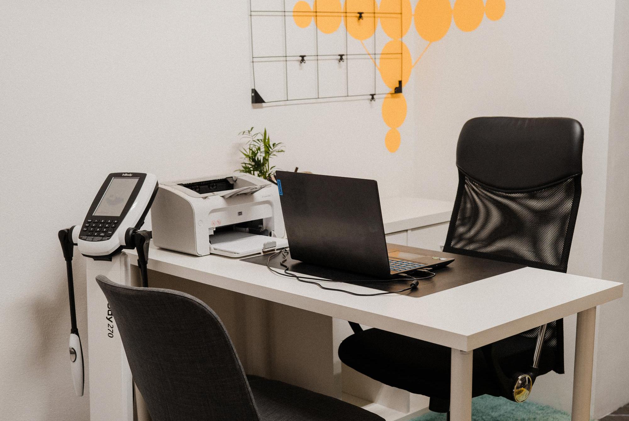 Výživové poradenství Kateřina Lehmannová