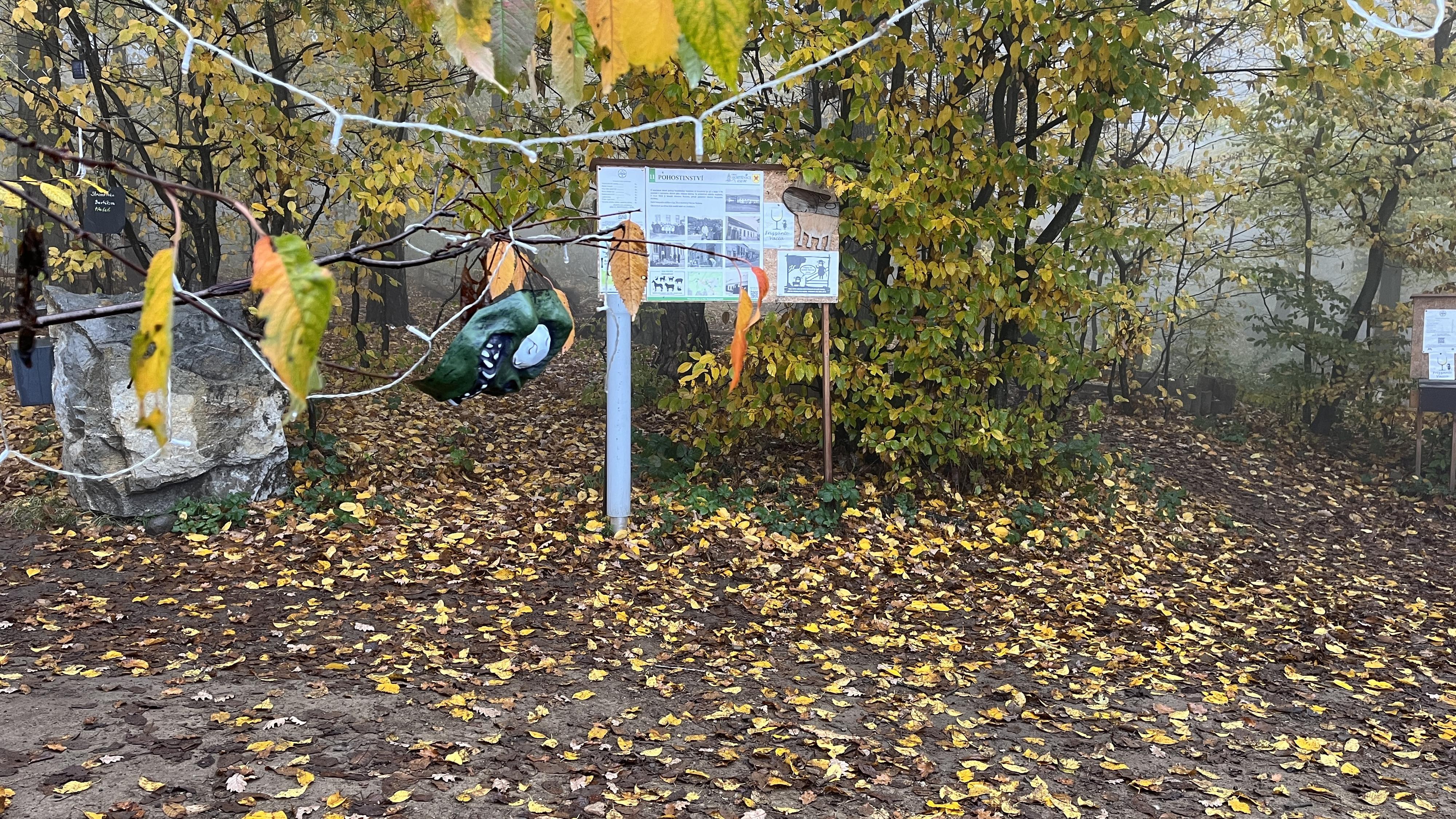 Lesní bar U Krav foto 6