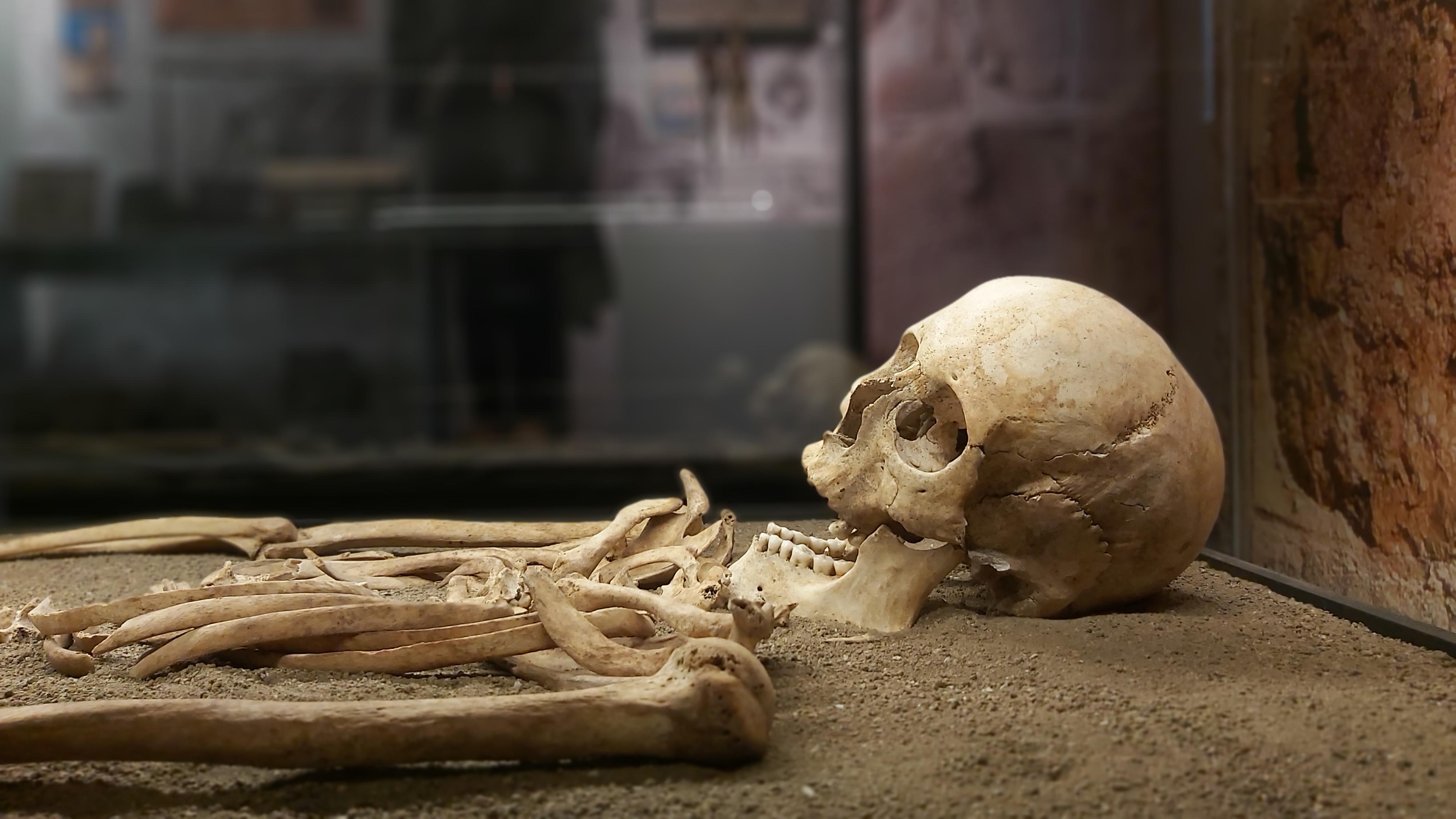 Muzeum Vysočiny Jihlava foto 4