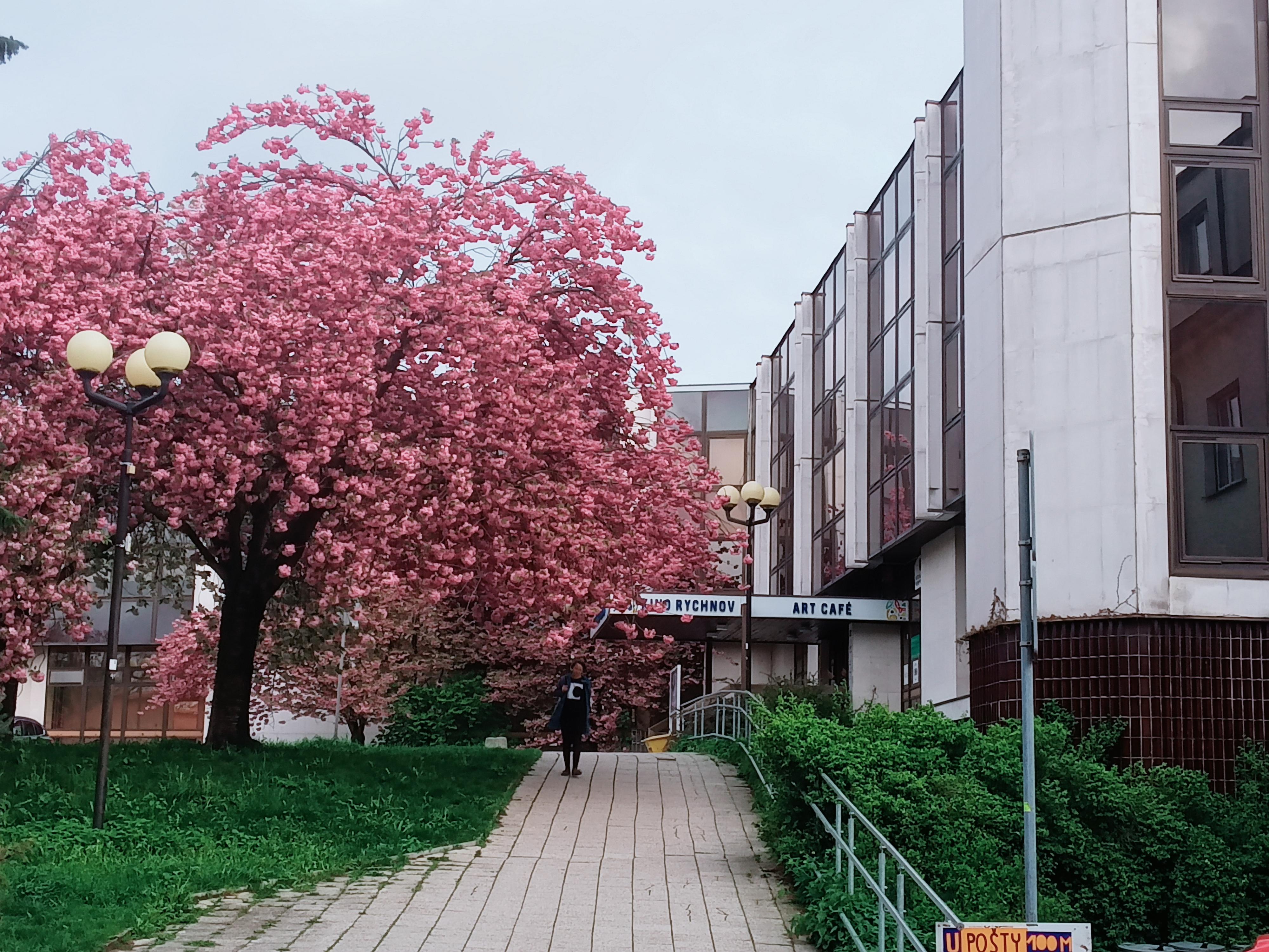 Městské kino Rychnov nad Kněžnou foto 5