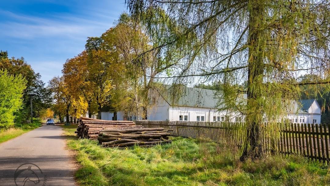 Lesní statek Bědovice foto 3