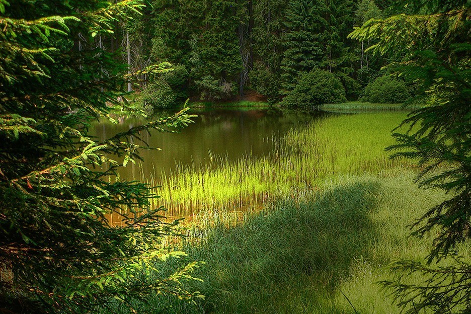 Sportovní areál Eduard