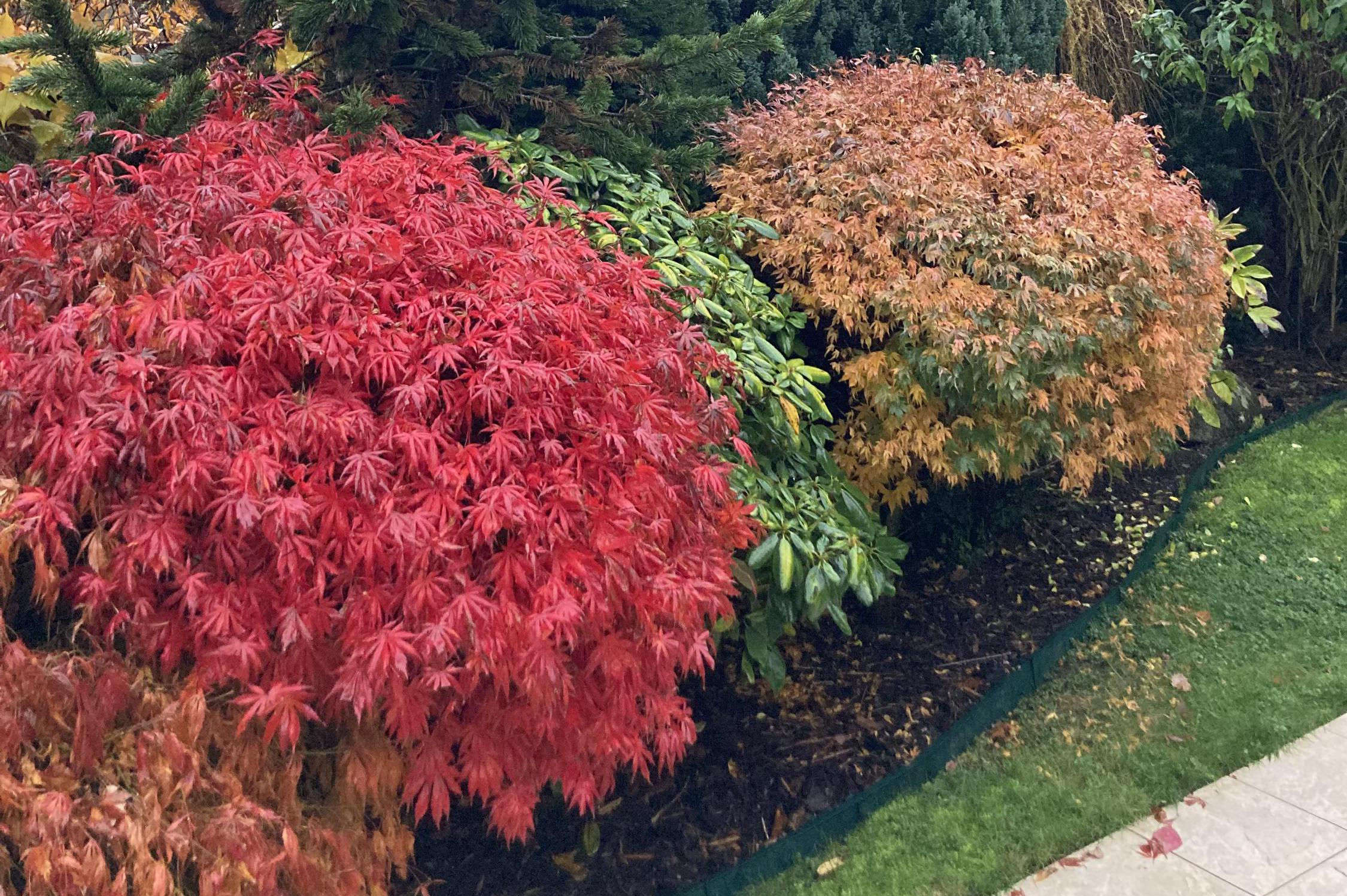 MILAN ZAHRADY - Zahradnické služby