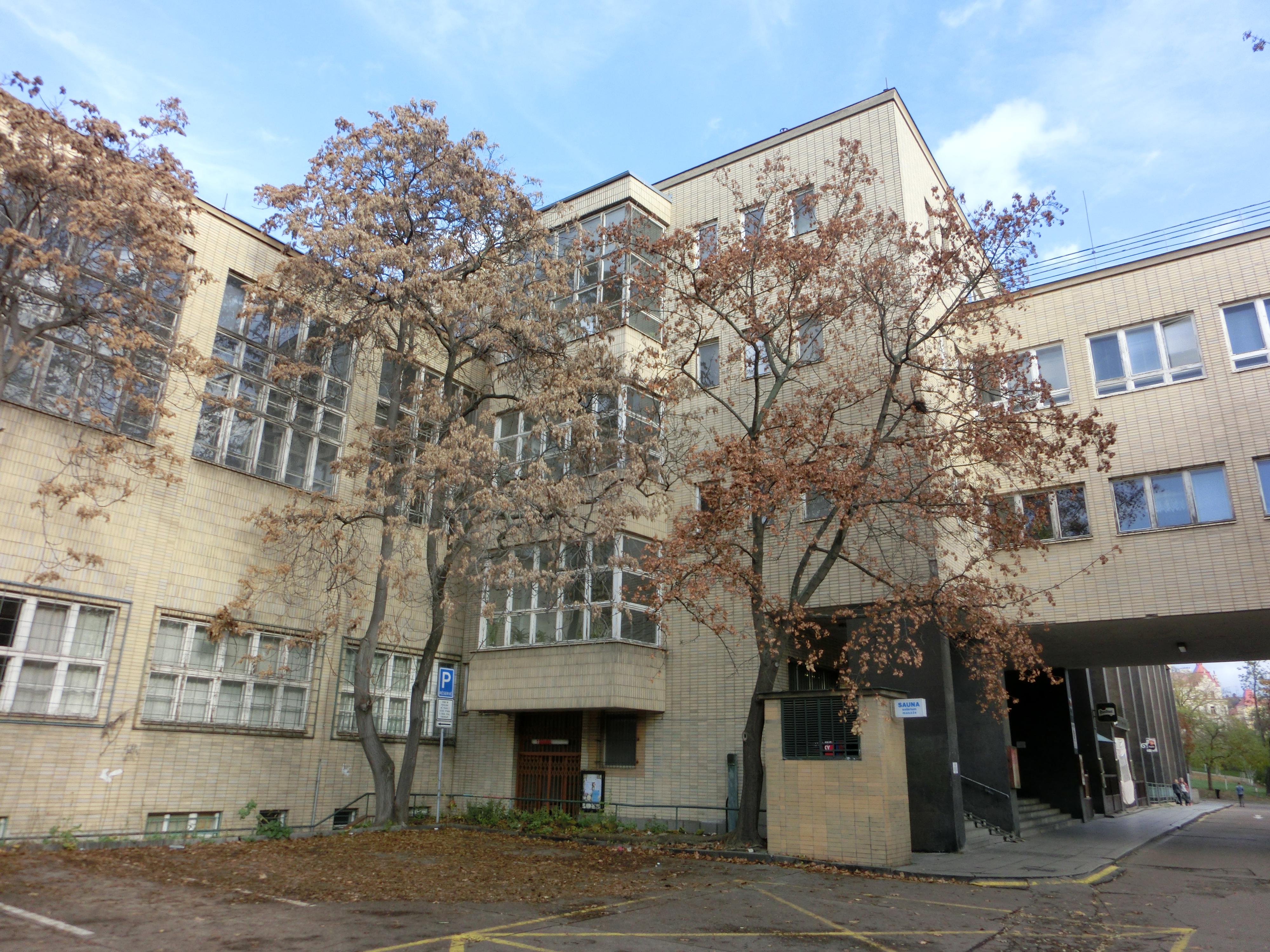 Sokolovna Vinohrady foto 5